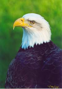 Photo by Karen MacGregor